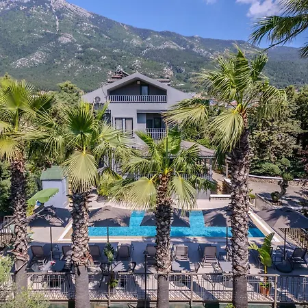 Sofa Okaliptus דירה *