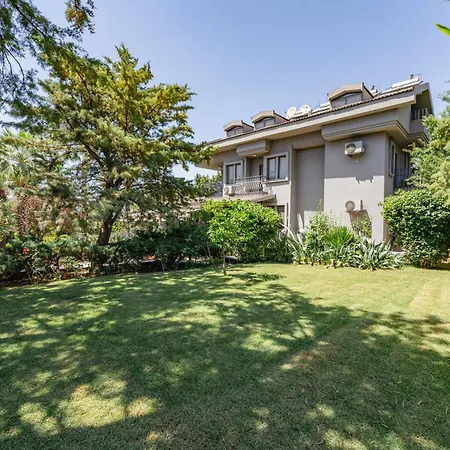 Sofa Okaliptus 아파트 페티예